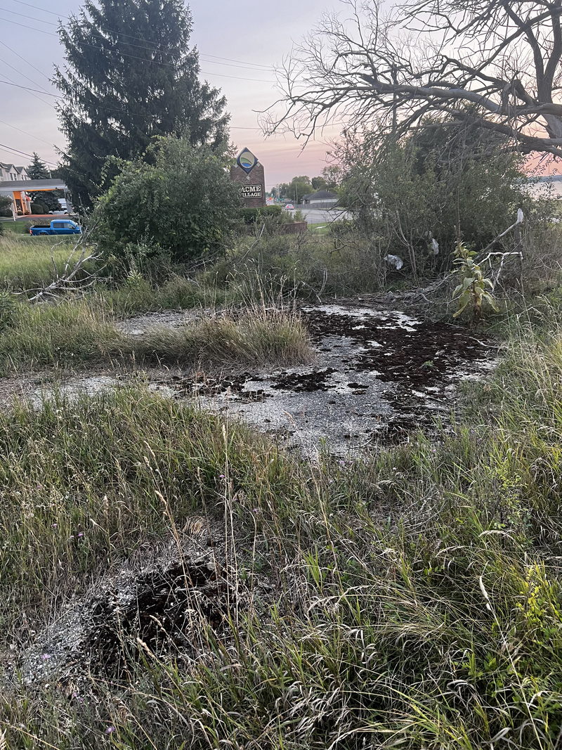 Traverse Drive-In Theatre - Aug 21 2024 (newer photo)